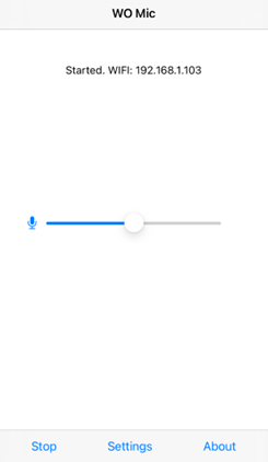 iPhone 显示 IP